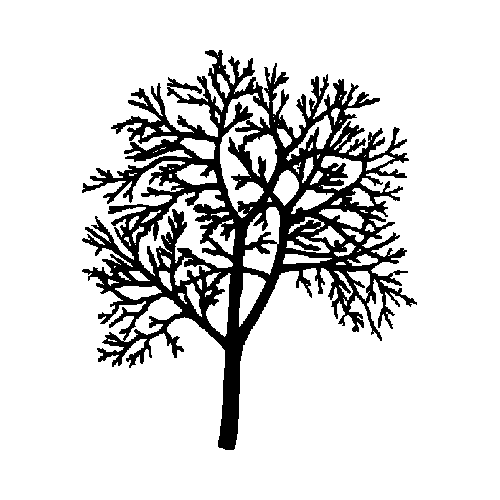 Tree 2