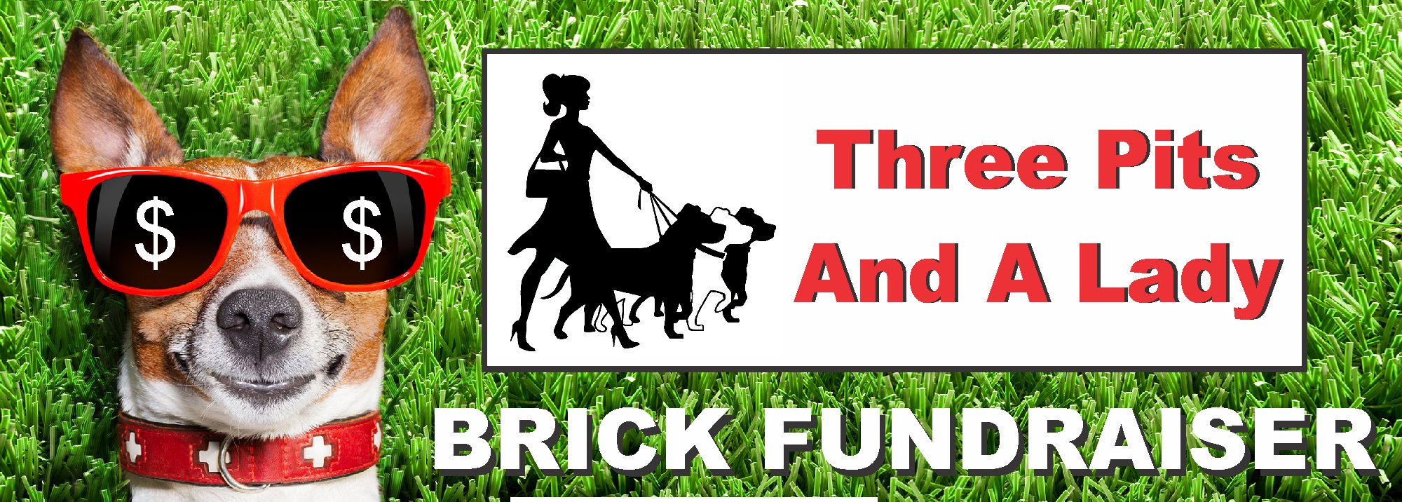Thre Pits And a Lady Brick Fundraiser
