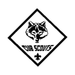 Cub Scouts