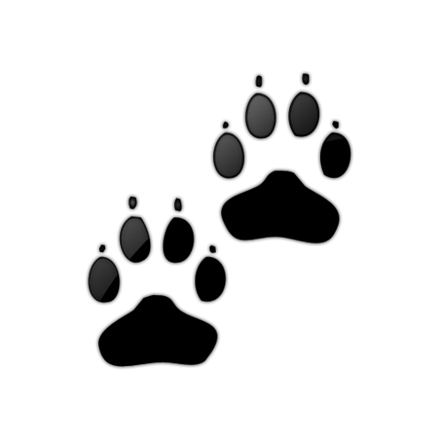 Paw Prints