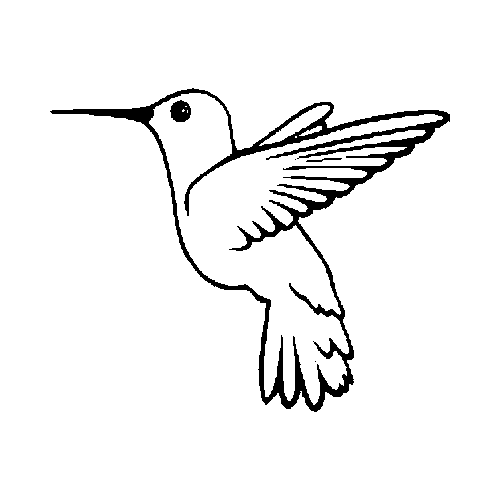 Hummingbird