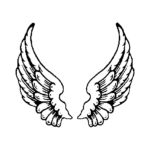 angle-wings.png