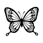 butterfly-hard-to-find.png