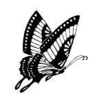 butterfly-nice.png