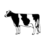 cow-dairy.png