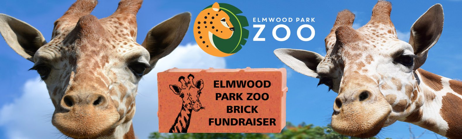 elmwood-banner