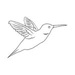 hummingbird-2.png