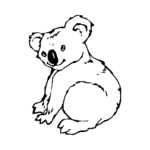 koala-bear.png