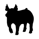 pig2.png